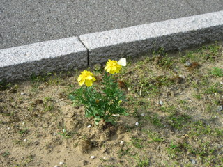 IMG_0097.JPG