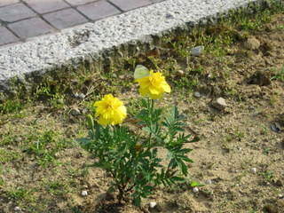 IMG_0099.JPG